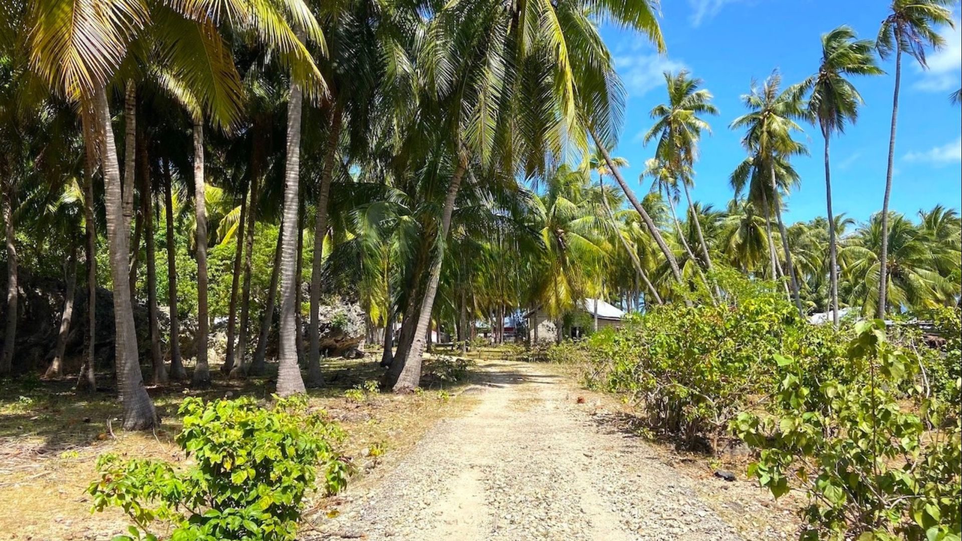 Access route