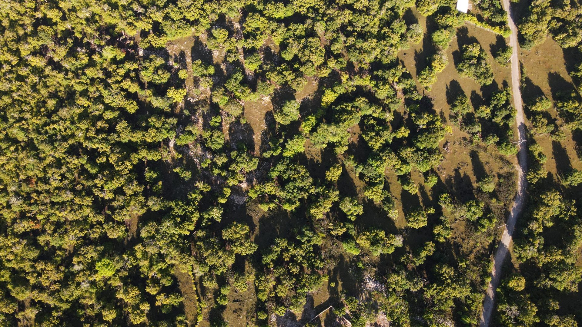 Aerial — hectare overview