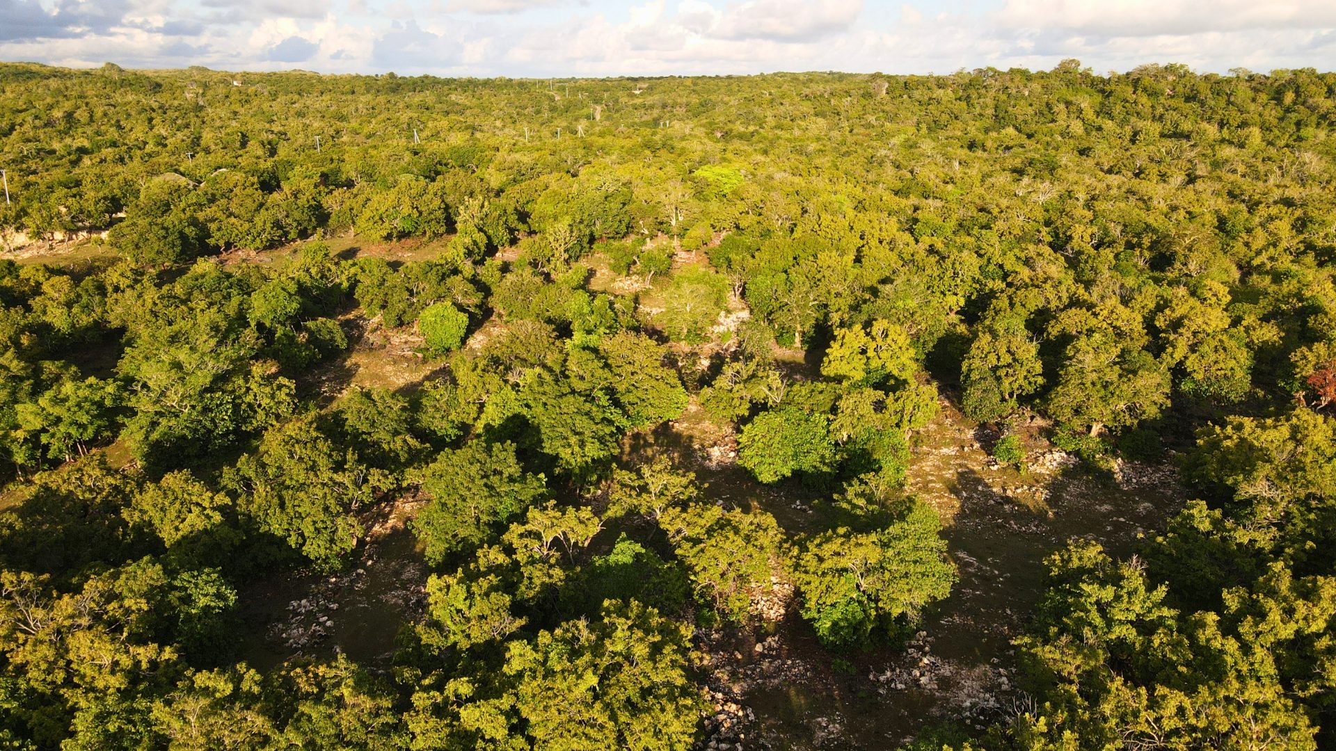 Aerial — angle 4
