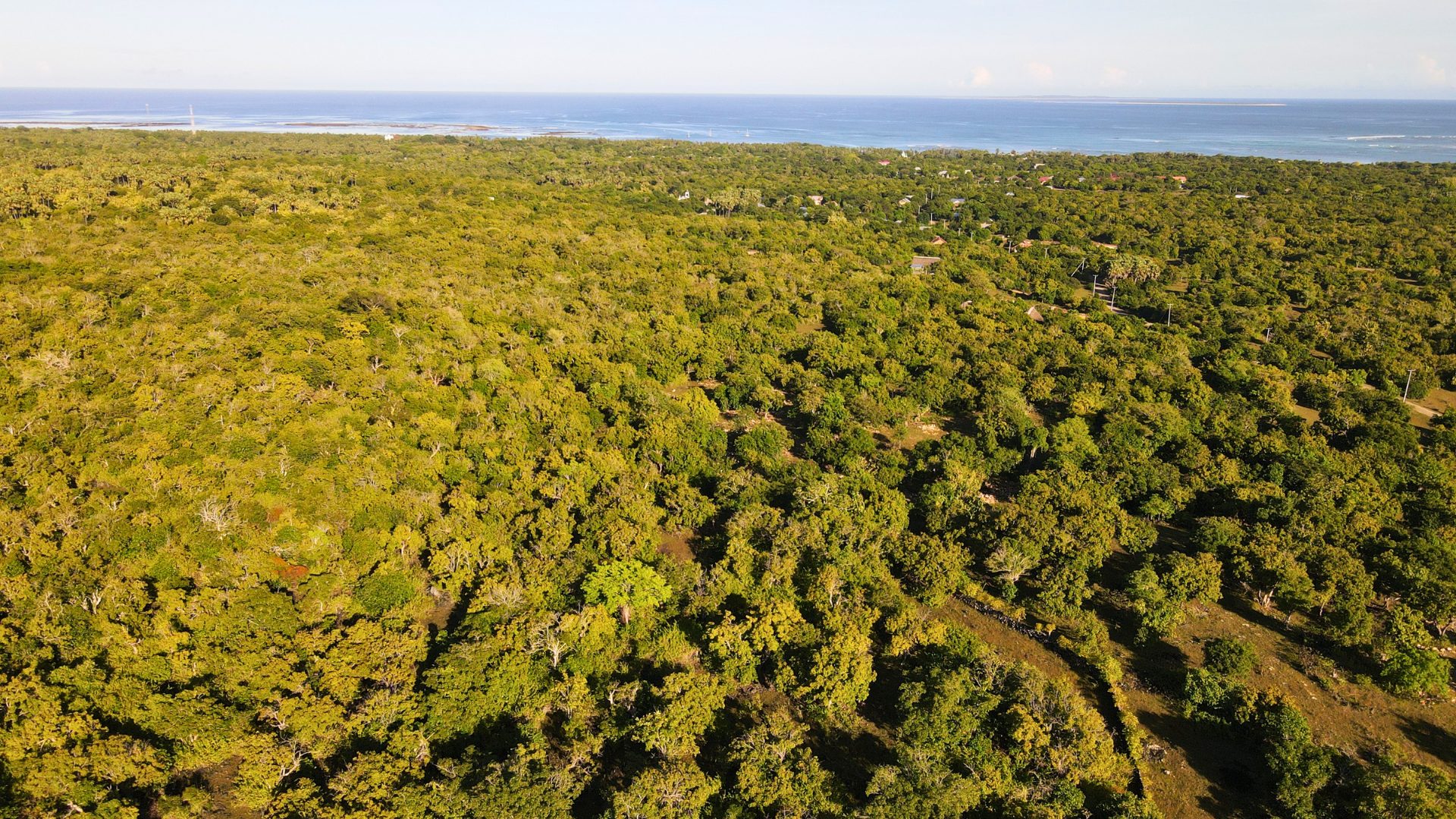 Aerial — angle 5