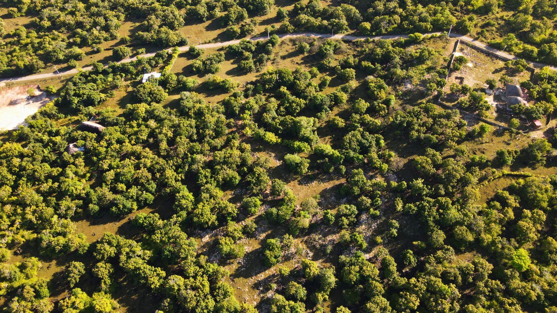 Aerial — angle 6