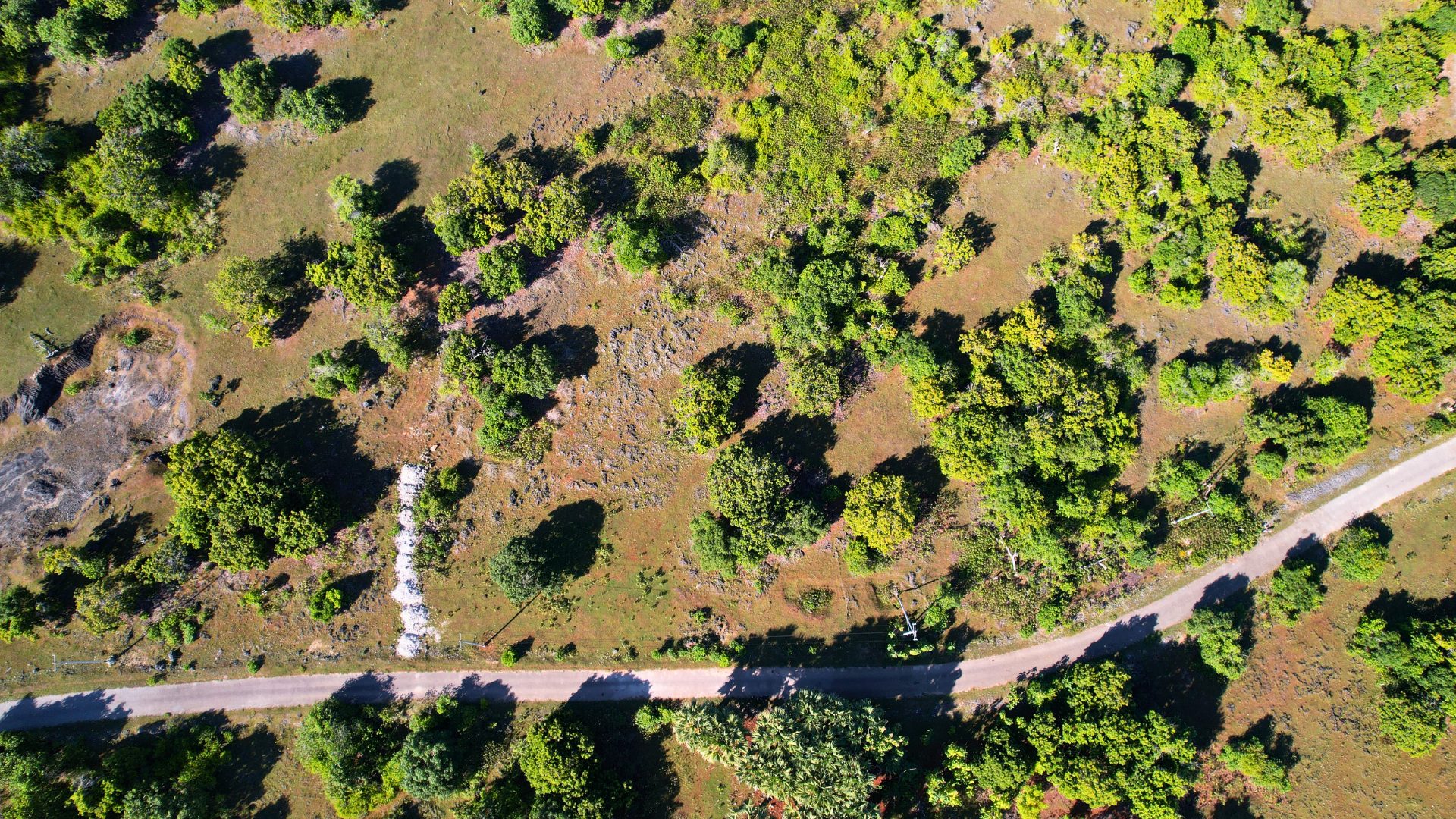 Aerial overview