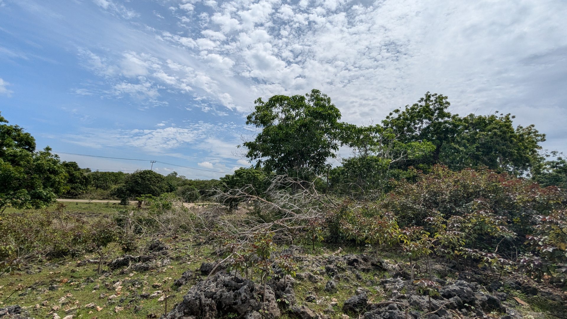 Land condition