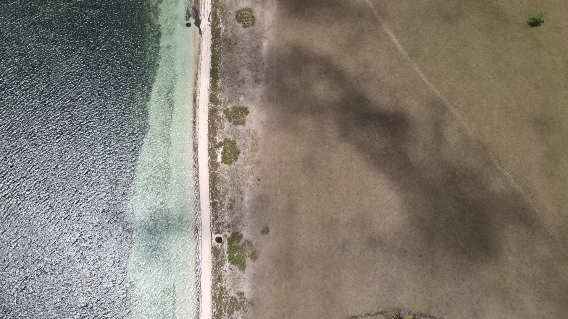 Beach detail