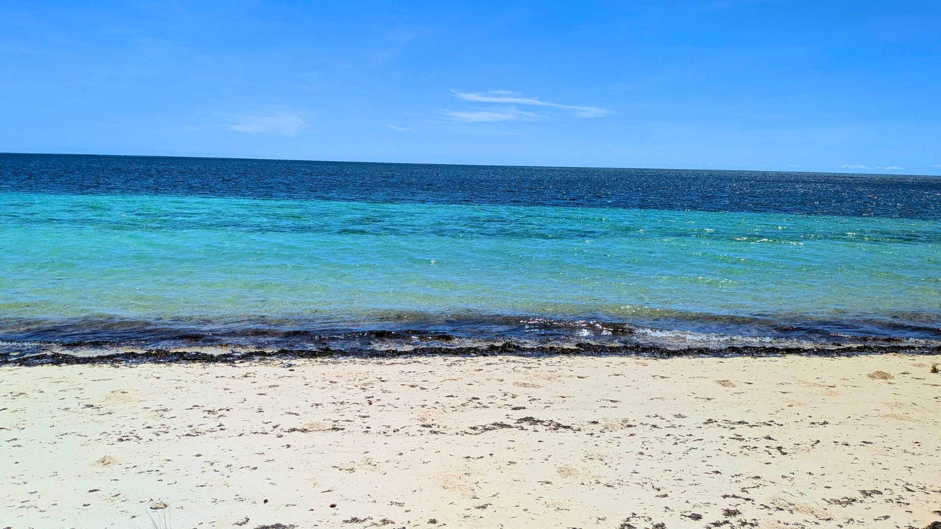 Beach low tide