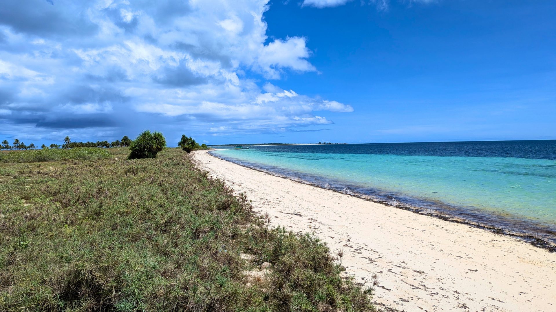 Beach with reef view