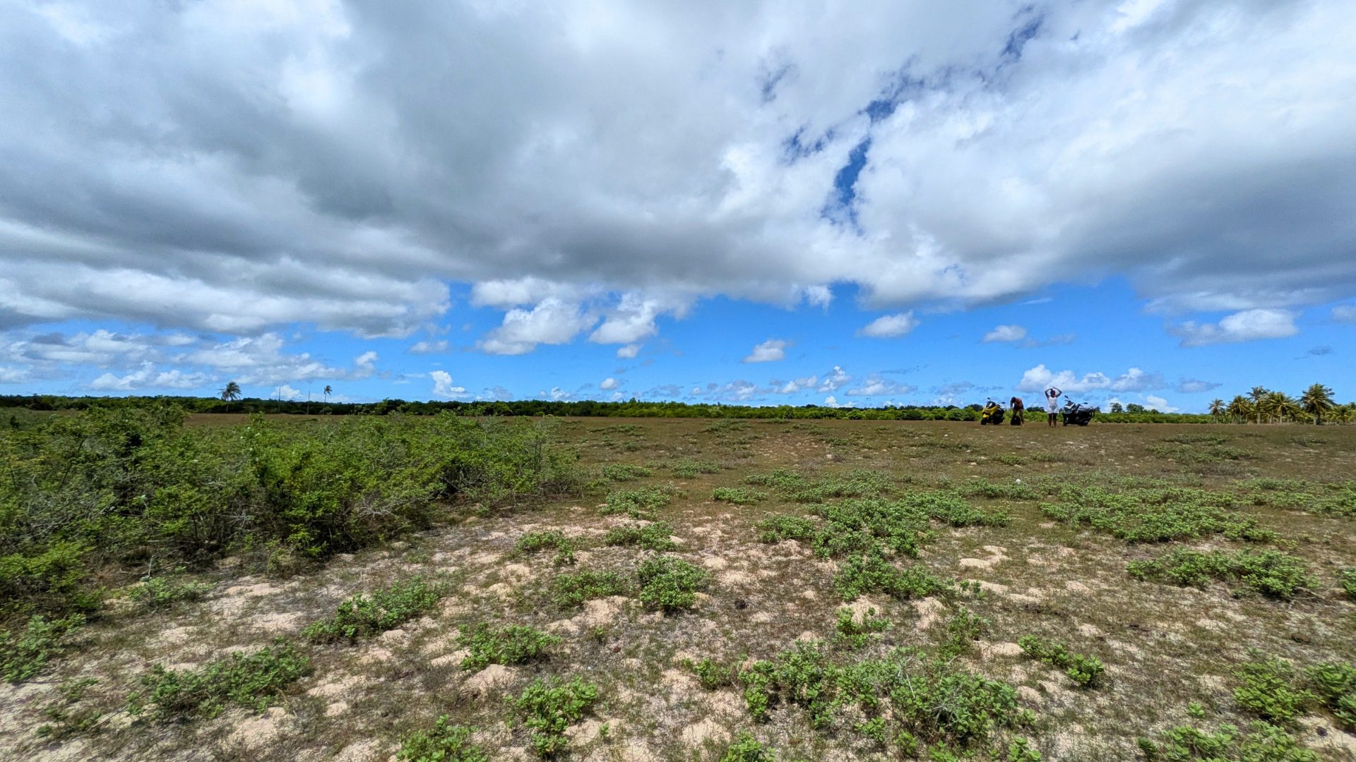 Land condition