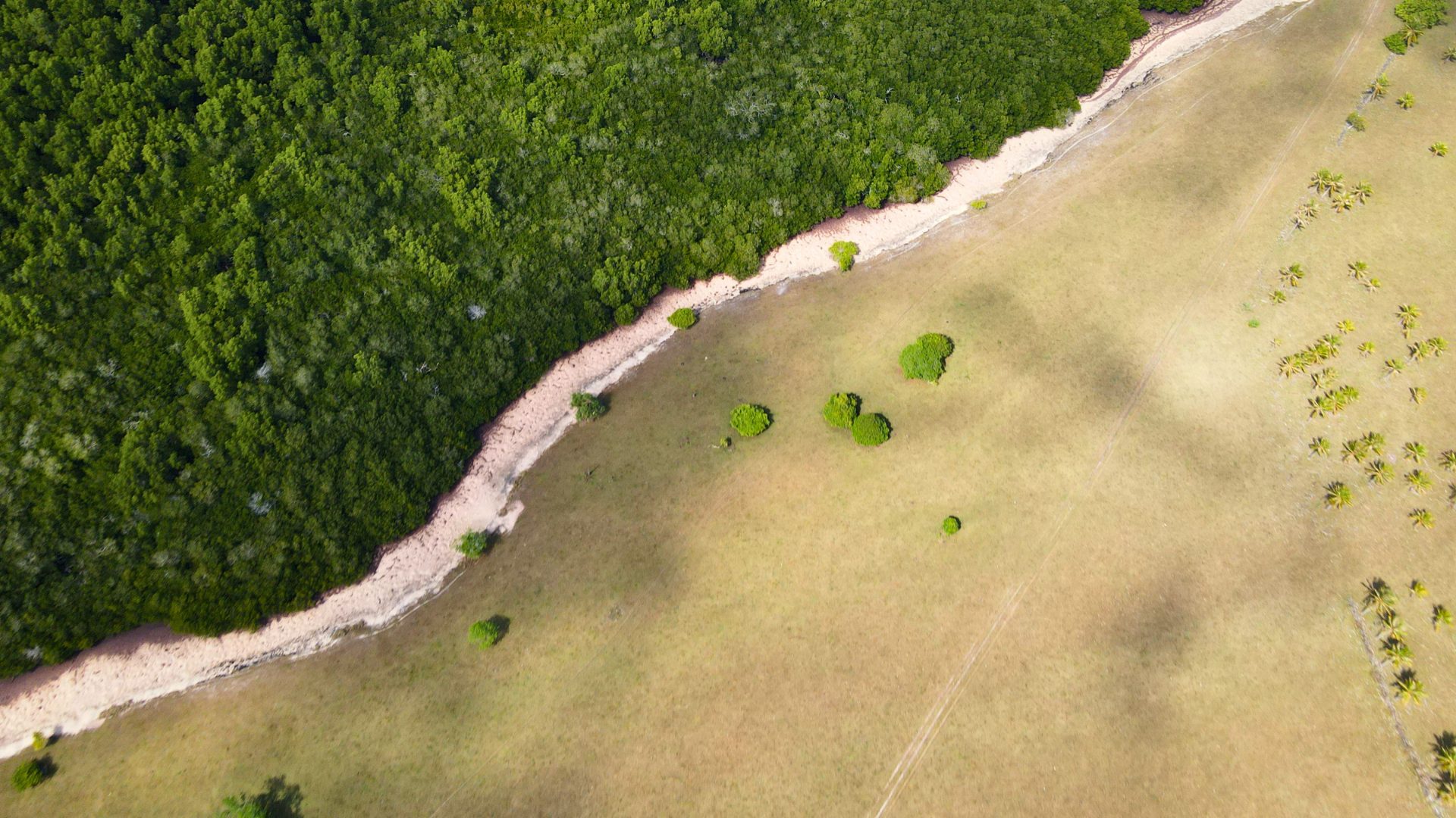 Back of the land aerial