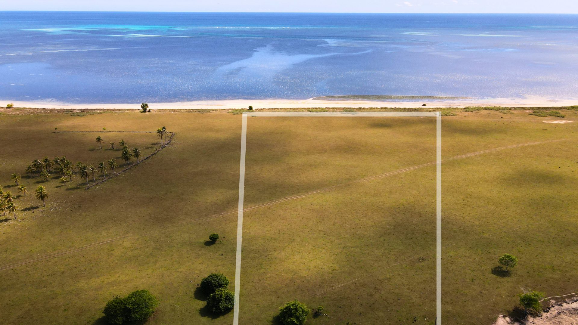 Ocean view aerial