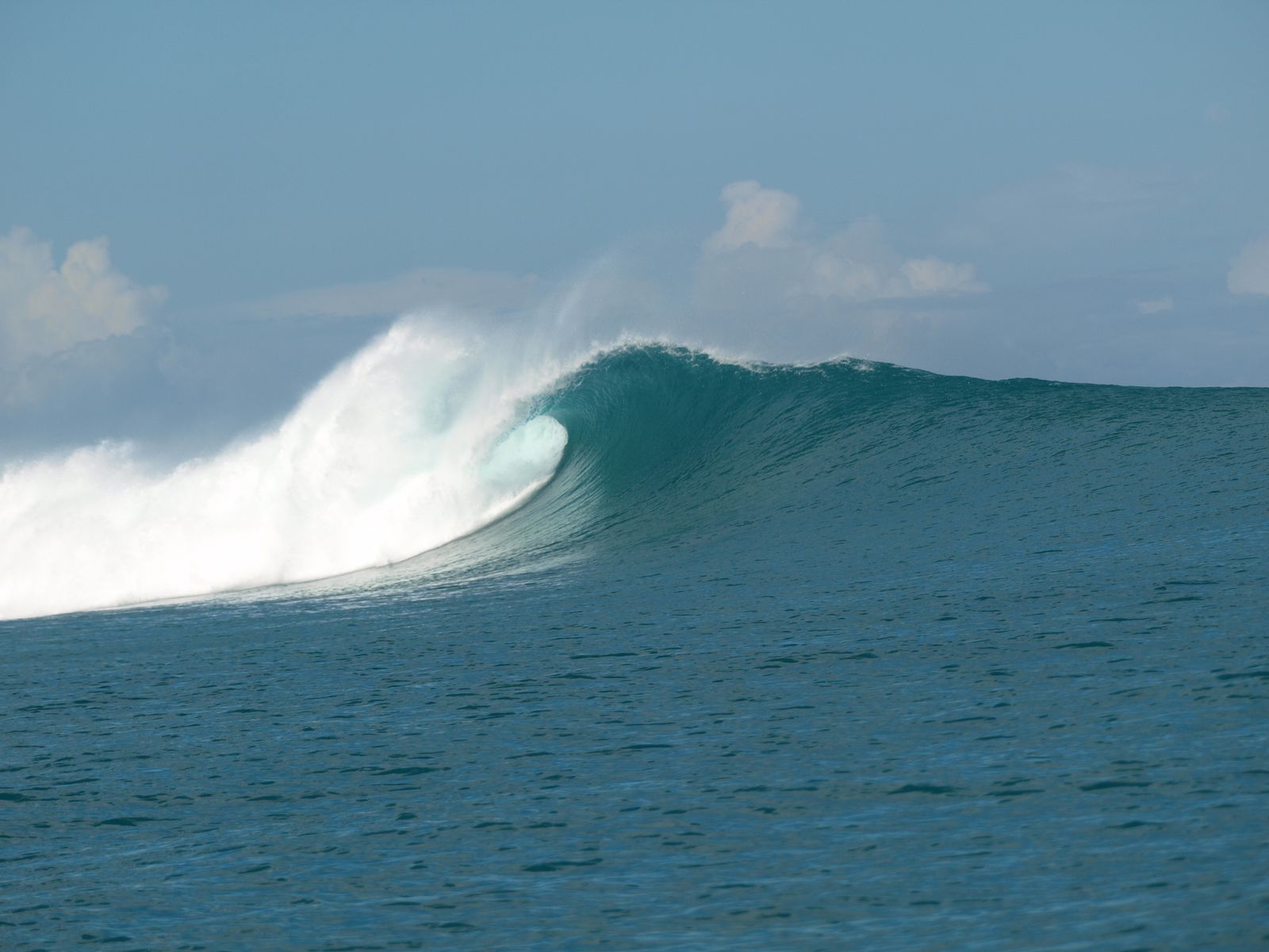 Surfer on a Rote Island wave